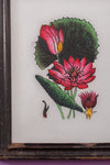 botanical painting