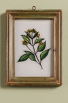 botanical painting