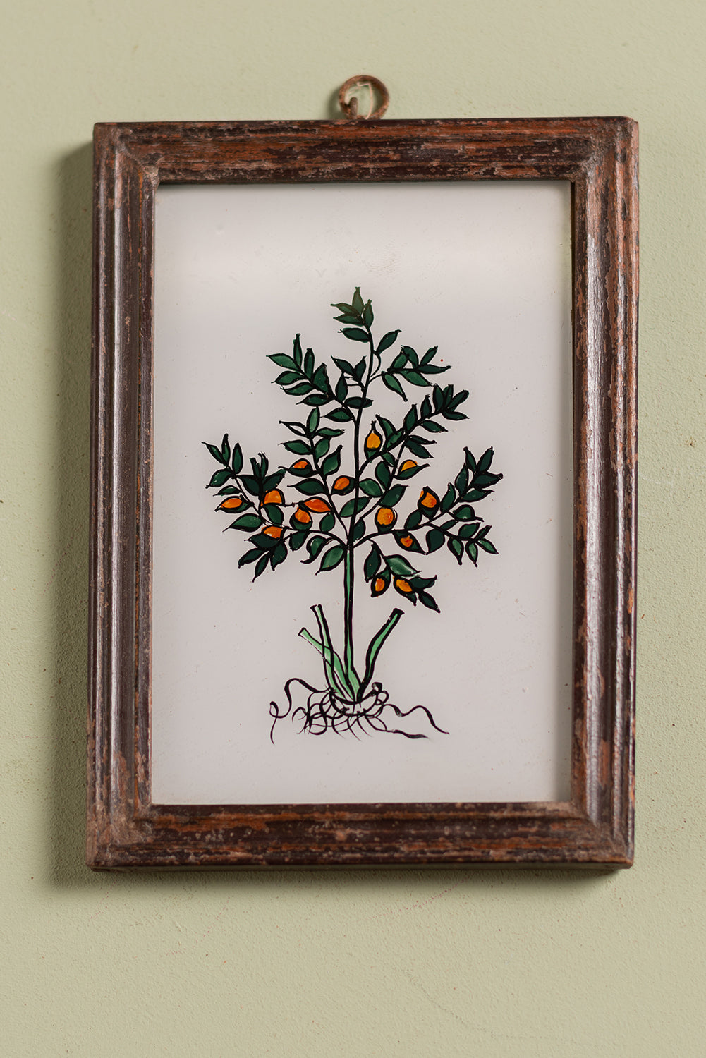 botanical painting