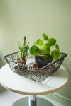 Metal Vintage Railway Basket - 13